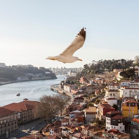 Citybreak-Apartments Douro View ポルト エクステリア 写真