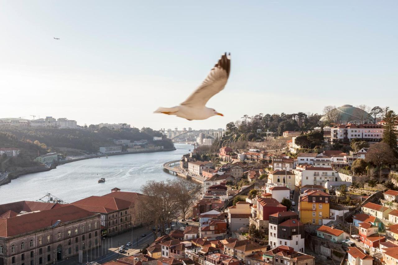 Citybreak-Apartments Douro View ポルト エクステリア 写真